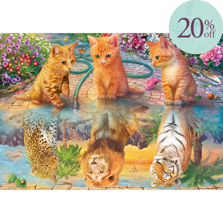 Kittens Reflection
