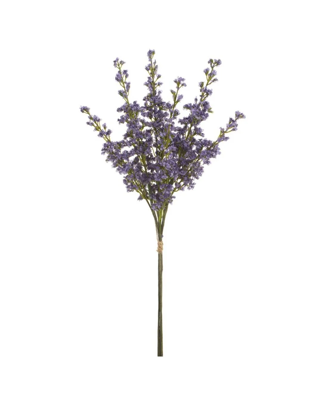 Image of Veronica Lavender Bunch