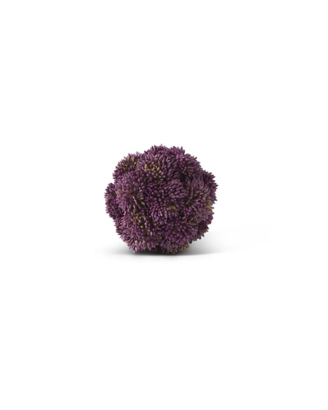 Image of Purple Sedum Orb
