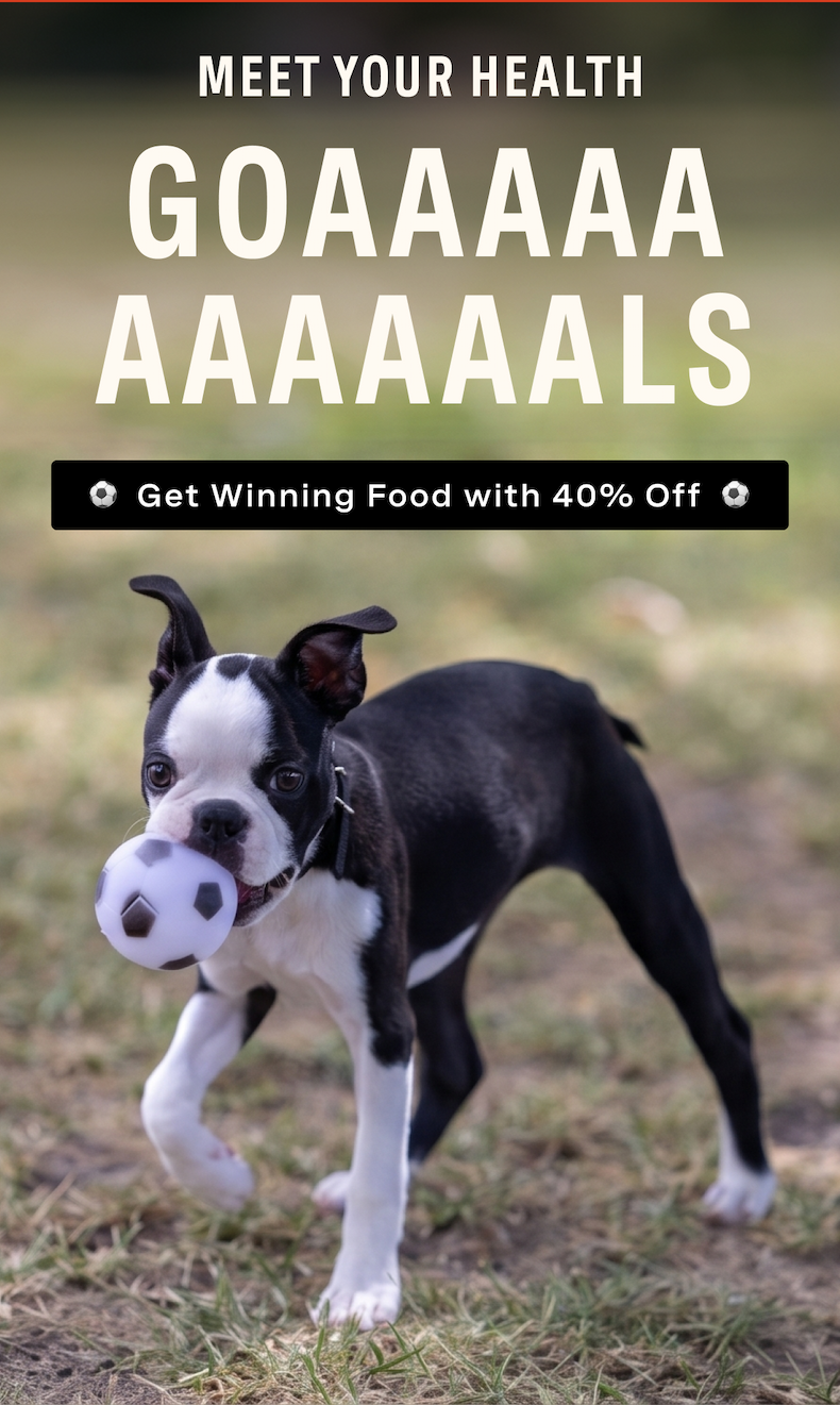 Meet Your Health Goaaaaaals - Get Winning Food with 40% Off