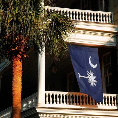 South Carolina State Applique House Flag