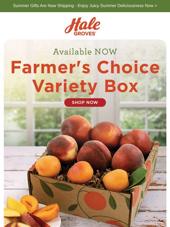 Seasonal Stone Fruit SURPRISE: Farmer's Choice Variety Box