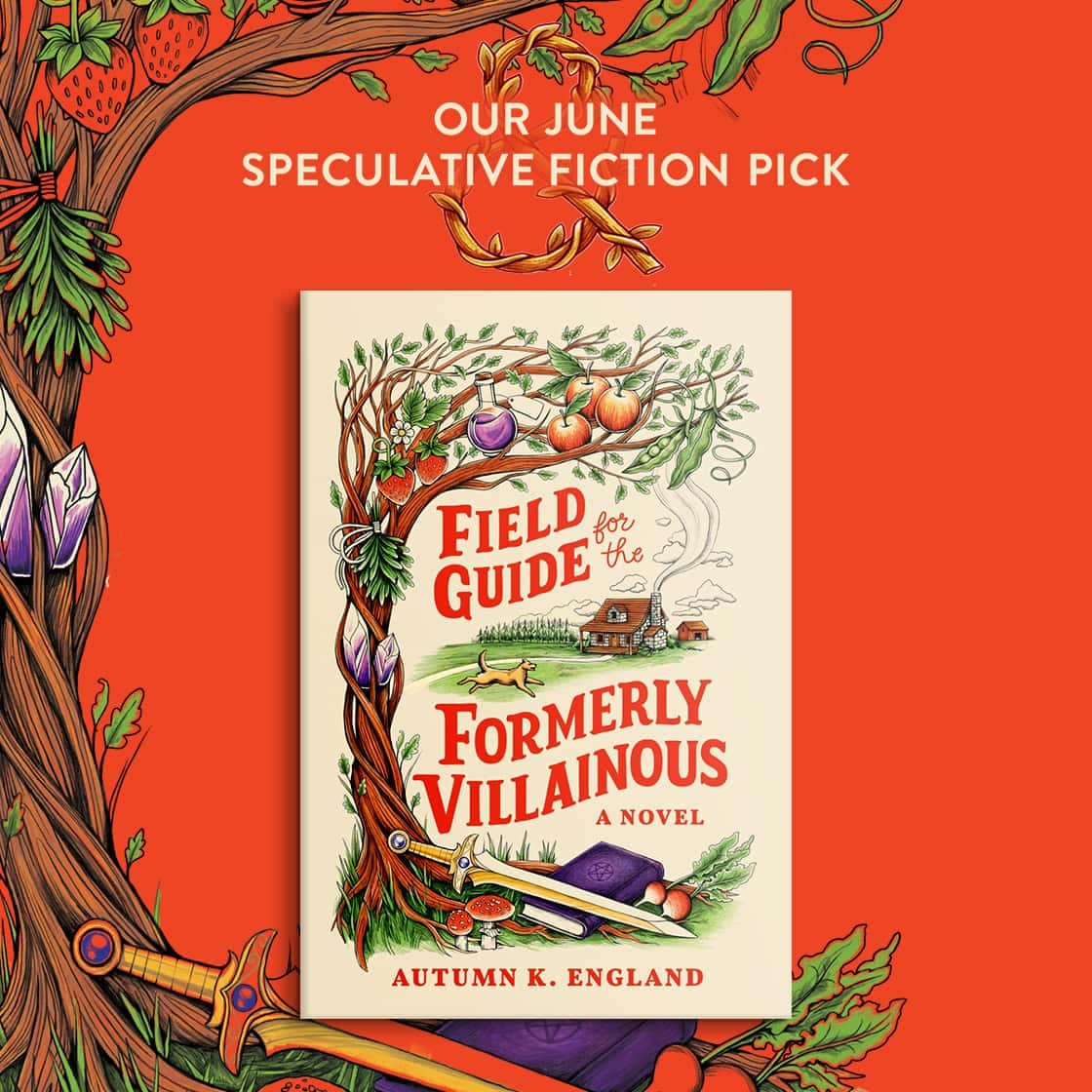 OUR JUNE SPECULATIVE FICTION PICK: Field Guide for the Formerly Villainous (Deluxe Edition) By Autumn K England