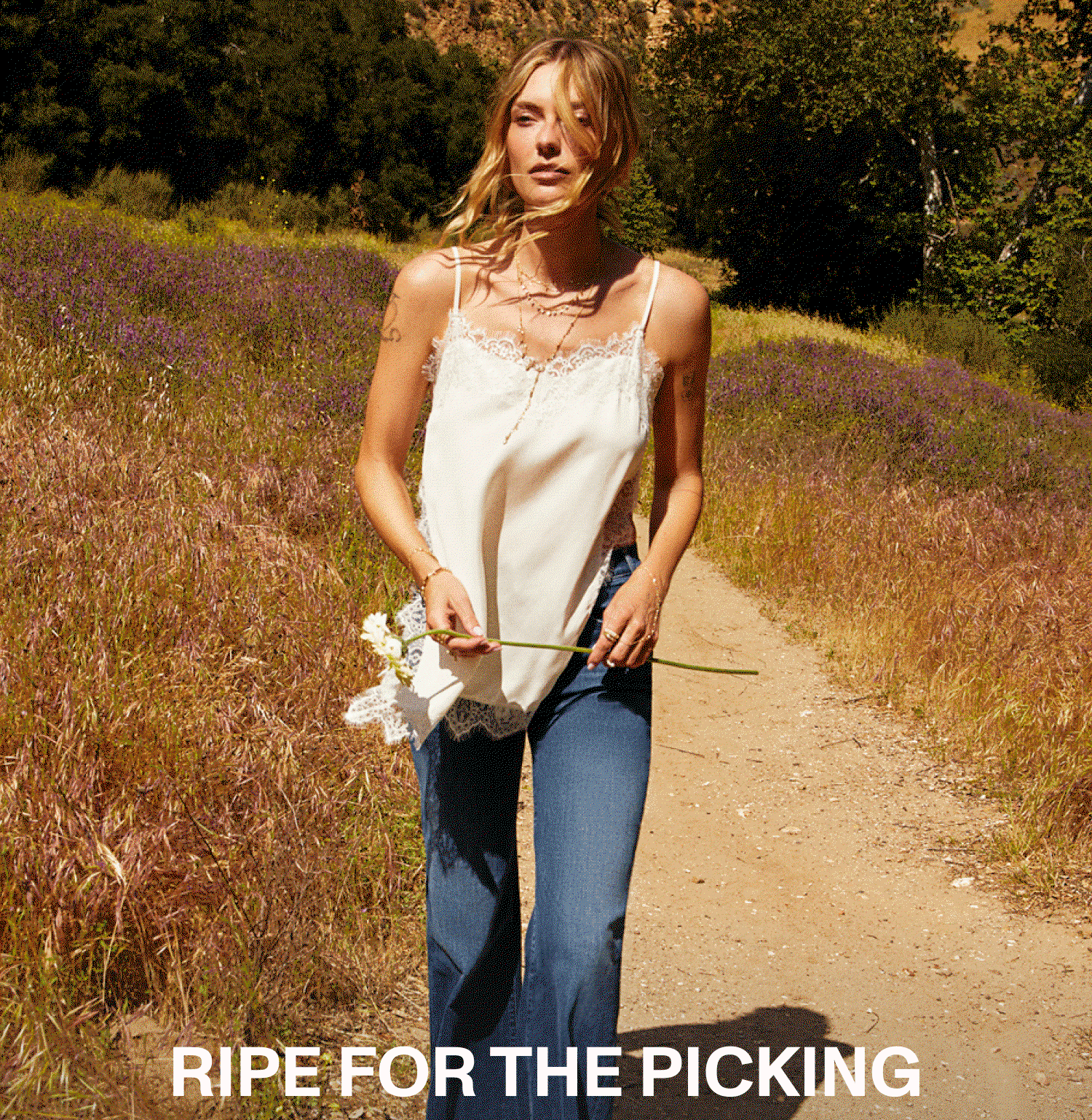 RIPE FOR THE PICKING