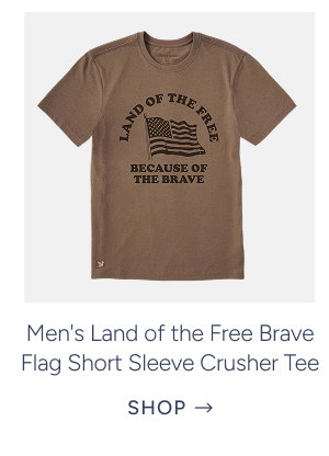 Men's Land of the Free Brave Flag Short Sleeve Crusher Tee in Mushroom Brown