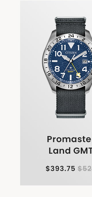 Promaster Land GMT