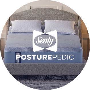 Shop Sealy Posturepedic