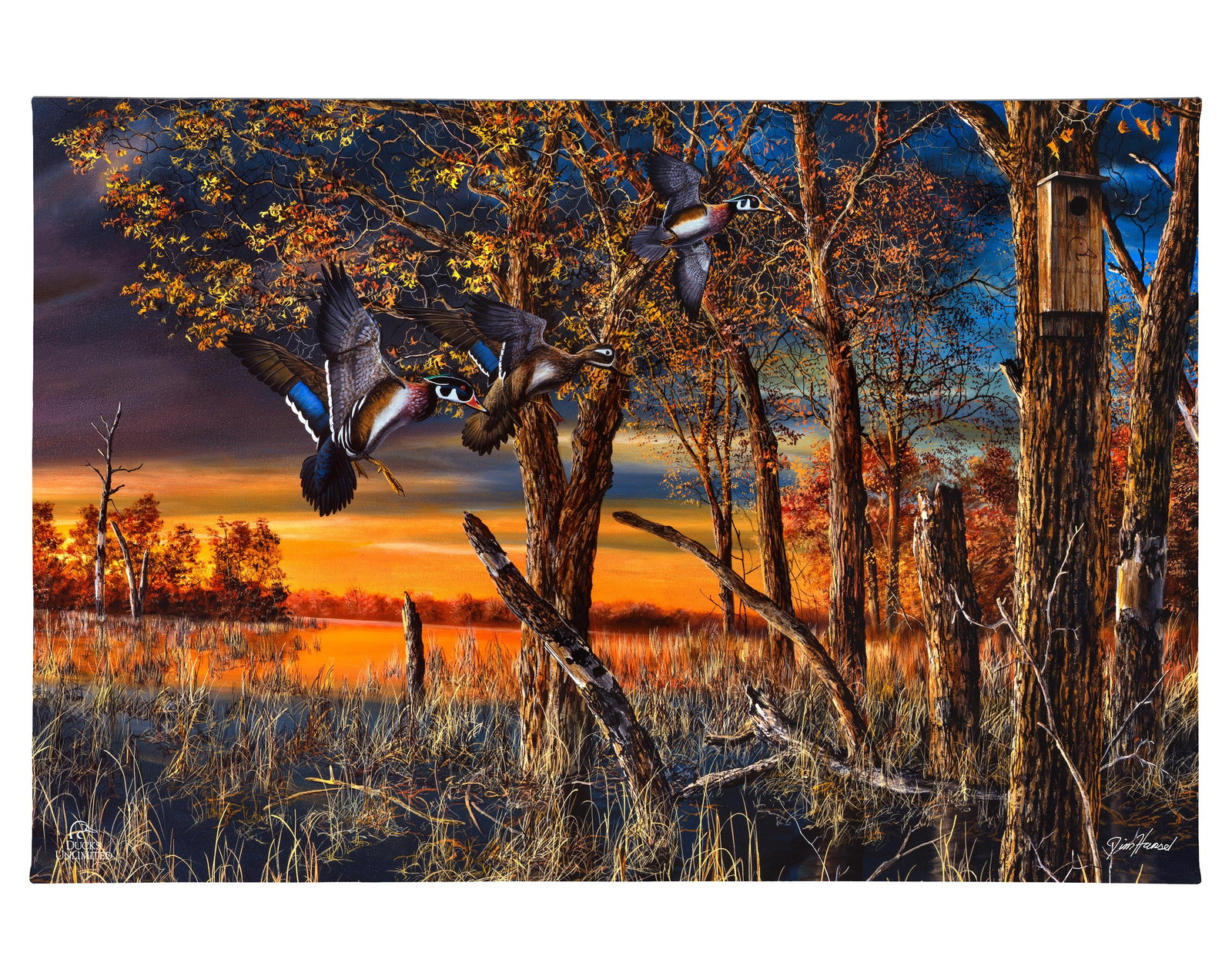 Image of Return to the Refuge Gallery Wrapped Canvas - Official Ducks Unlimited Art