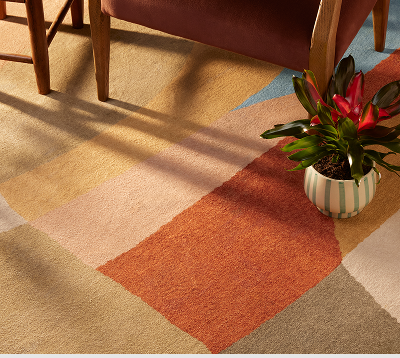 Sonia Terra & Sage Rug