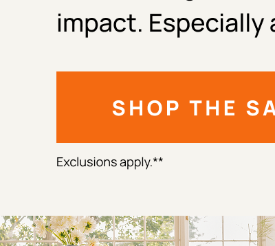 Shop The Sale