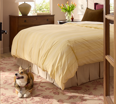 Brenna Natural & Blush Rug