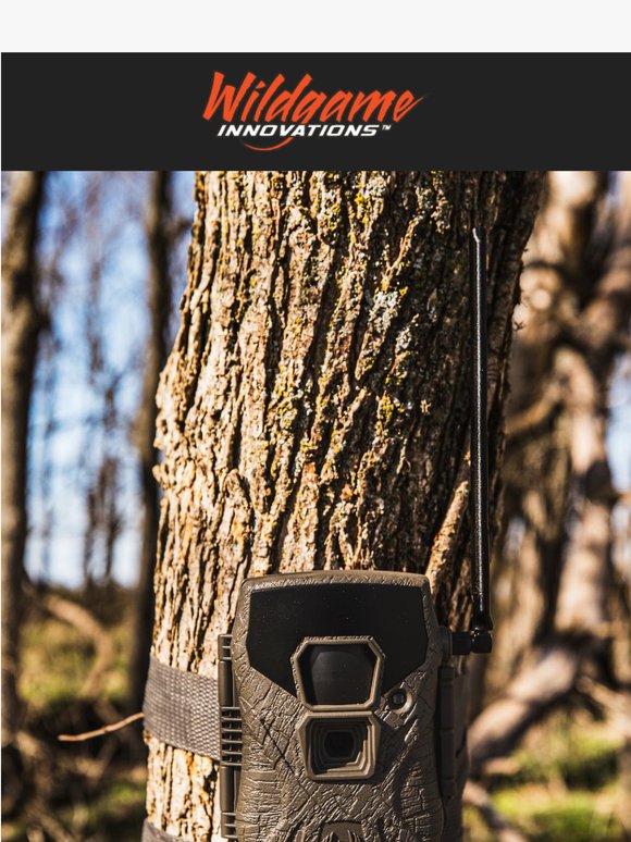 3 Insite-V Cams for $69.99