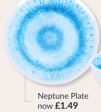 neptune plate - now £1.49