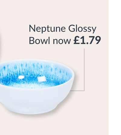 neptune glossy bowl - now £1.79