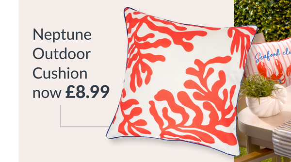 neptune outdoor cushion - now £8.99