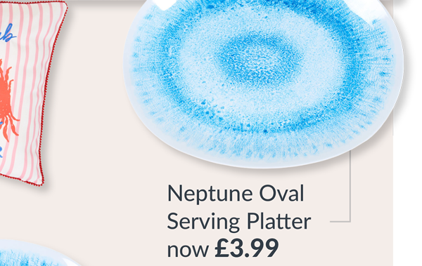 neptune oval serving platter - now £3.99