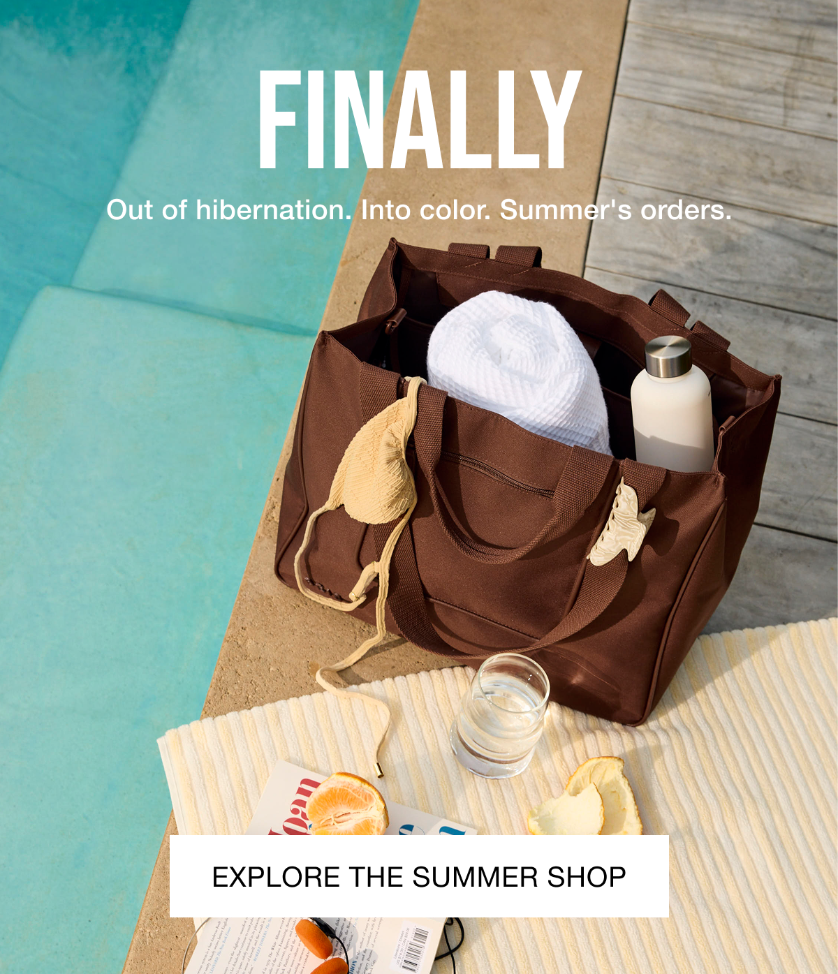 Explore the Summer Shop