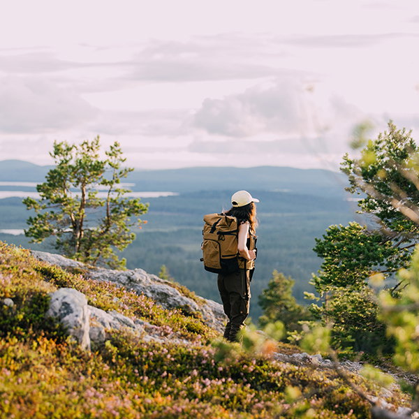 Vandra i norra Finland