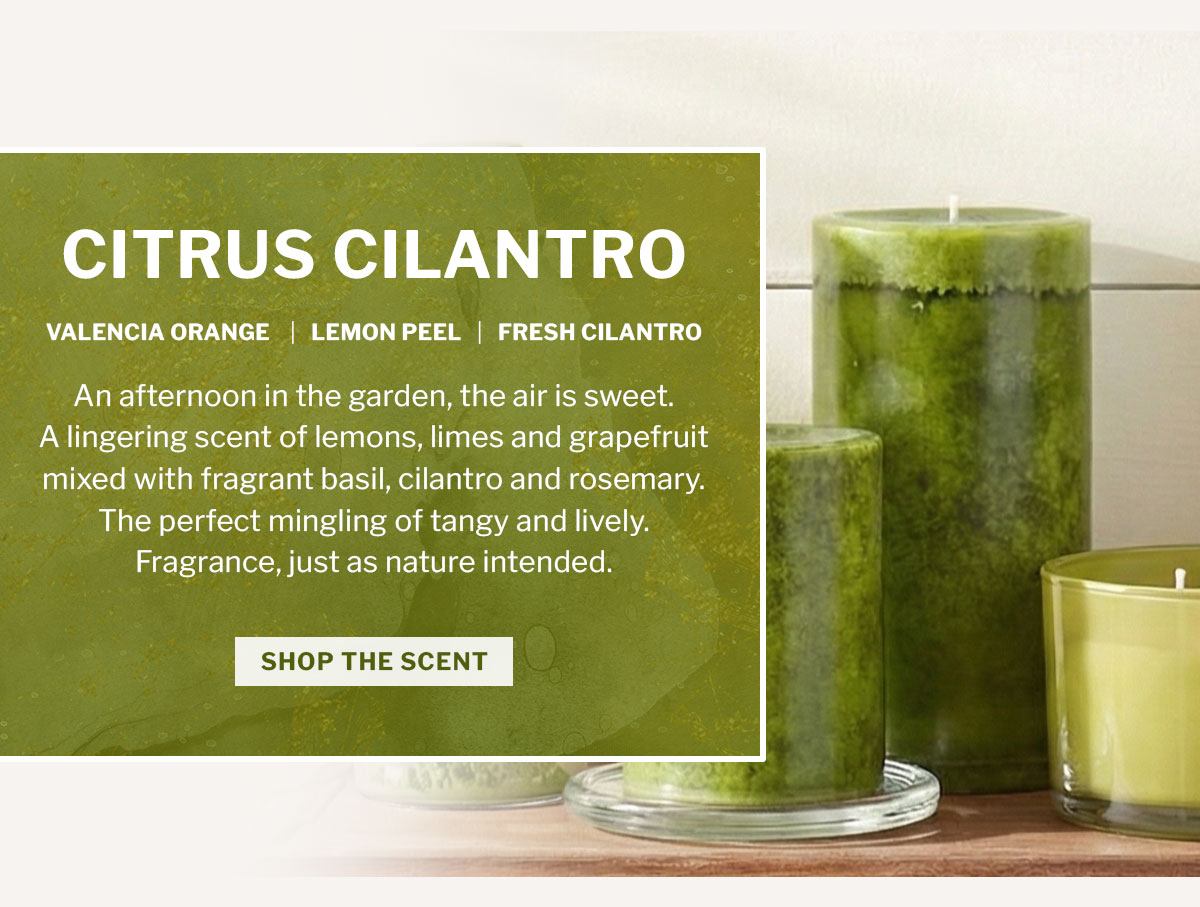 Citrus Cilantro