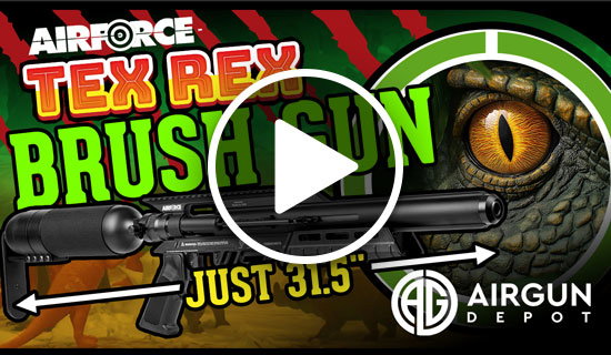 AirForce Tex-Rex Brush Gun