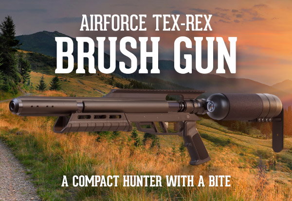 AirForce Tex-Rex Brush Gun