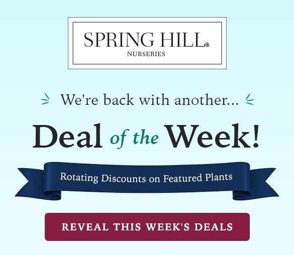 End of Season Sale | Save up to 50%