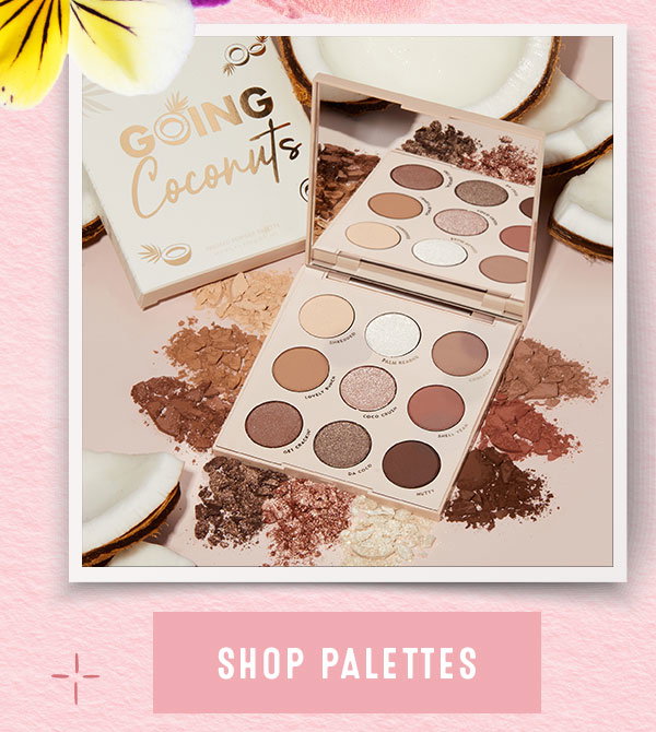 SHOP PALETTES