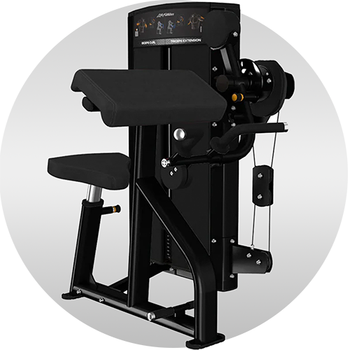 Axiom Series Biceps Curl / Triceps Extension