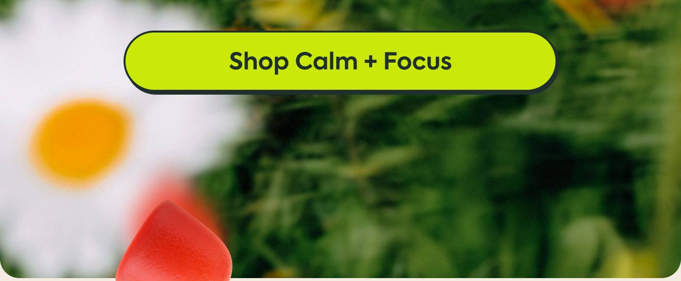 Shop Calm + Focus