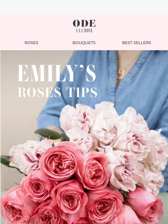 A few things we love about roses