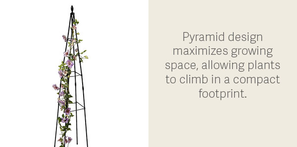 Pyramid design maximizes growing space, allowing plants to climb in a compact footprint.
