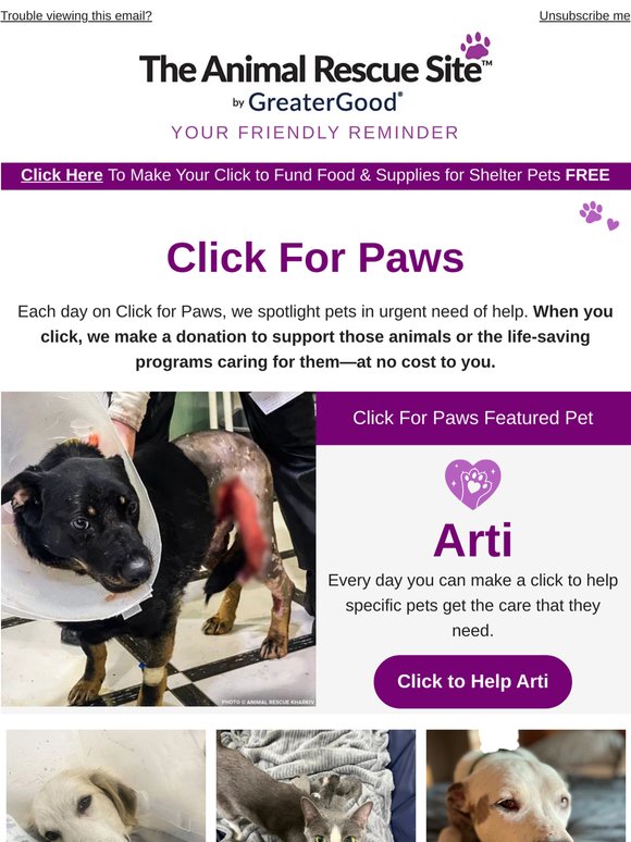 Click for Paws Now 🐾 🐶🐱