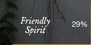 Friendly Spirit