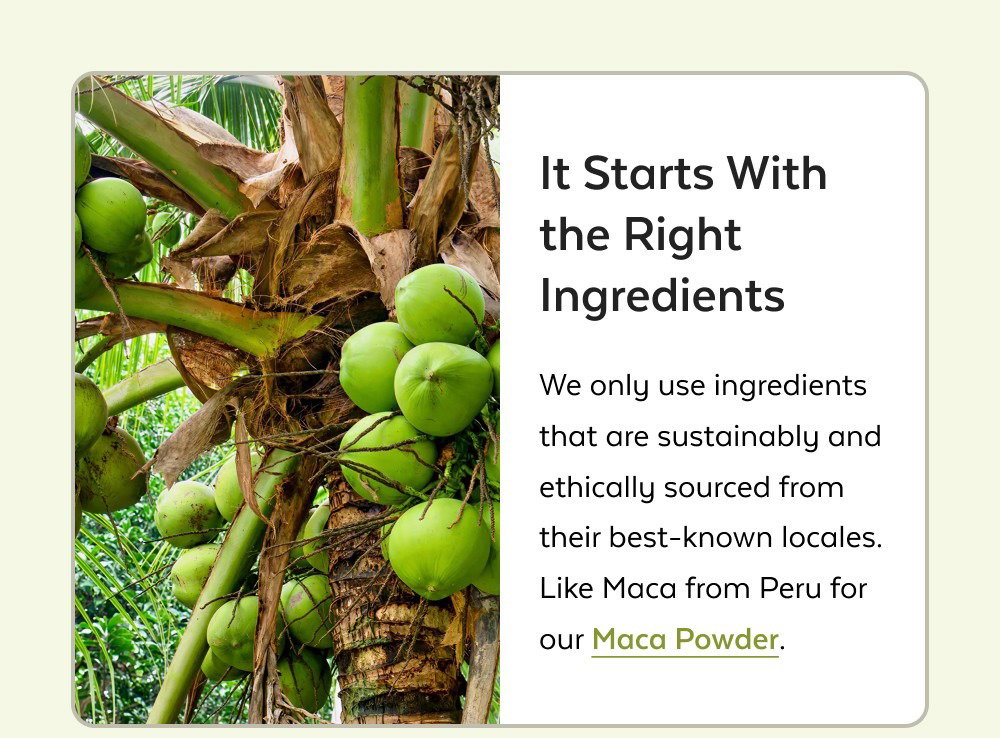 It Starts With the Right Ingredients We only use ingredients that are sustainably and ethically sourced from their best-known locales. Like Maca from Peru for our Maca Powder. Then Comes Production We've got high standards that we never compromise on which means we only select facilities that meet our own high standards of production processes. Explore Our Process
