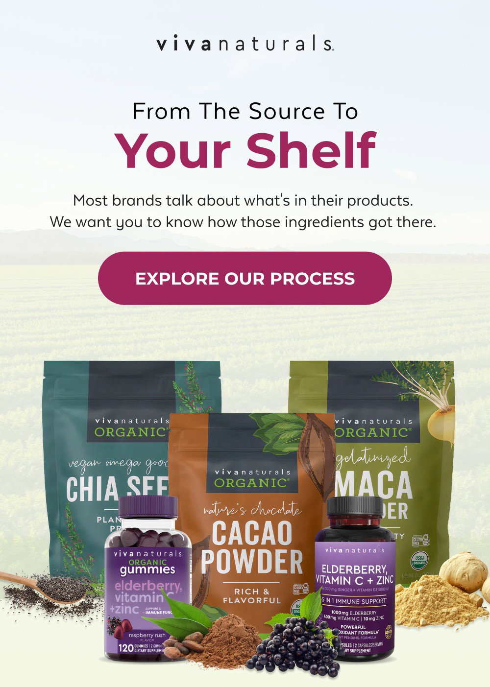 From the Source to Your Shelf Most brands talk about what's in their products. We want you to know how those ingredients got there. Explore Our Process