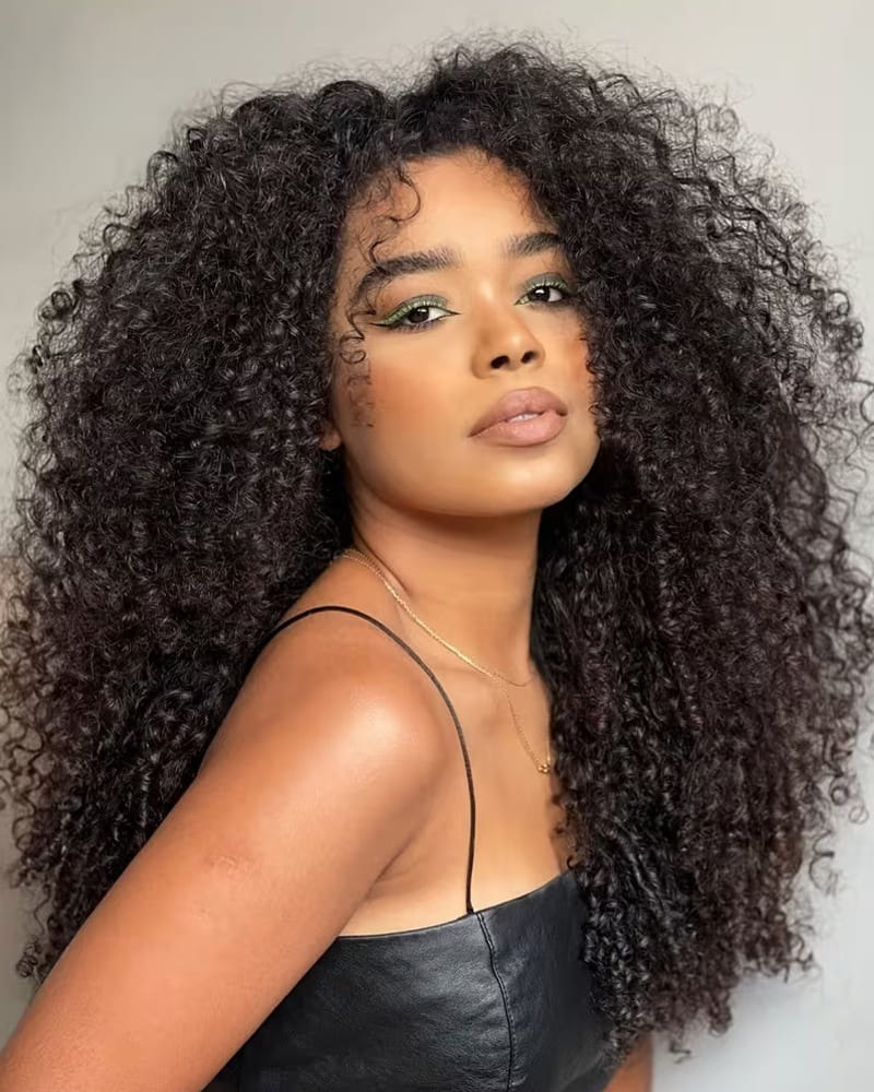 Arabella Zerowear™ 13x6 Invisible HD Lace Glueless Wig Jerry Curly With Drawstring Natural Black 100% Human Hair Wig