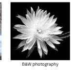 B&W Photography