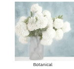 Botanical