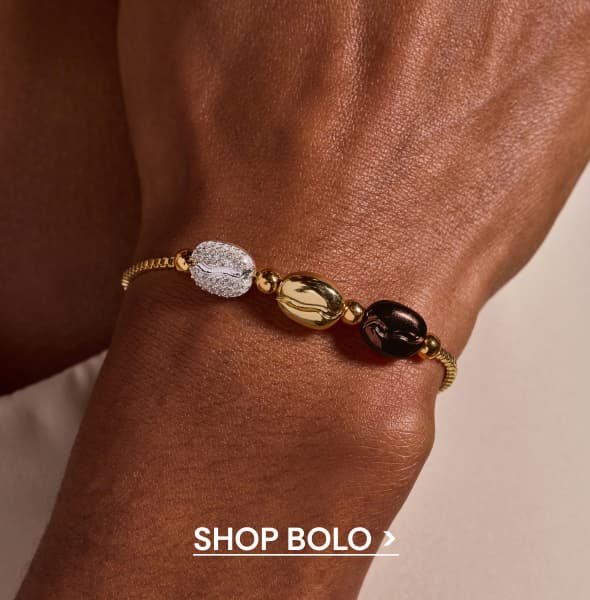 Shop Bolo