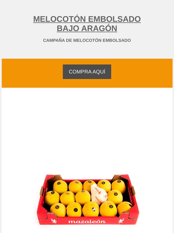 Melocotón embolsado, ¡Comenzamos!