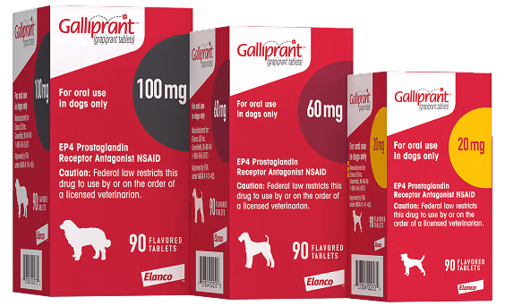 Galliprant