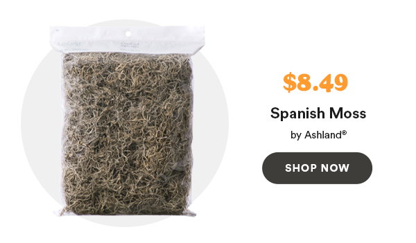 $8.49 Spanish Moss by Ashland® SHOP NOW