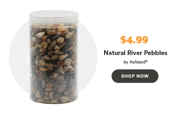 $4.99 Natural River Pebbles by Ashlend® SHOP NOW