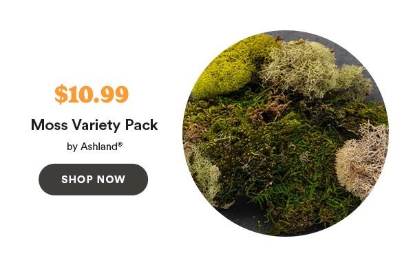 $10.99 Moss Variety Pack by Ashland® SHOP NOW