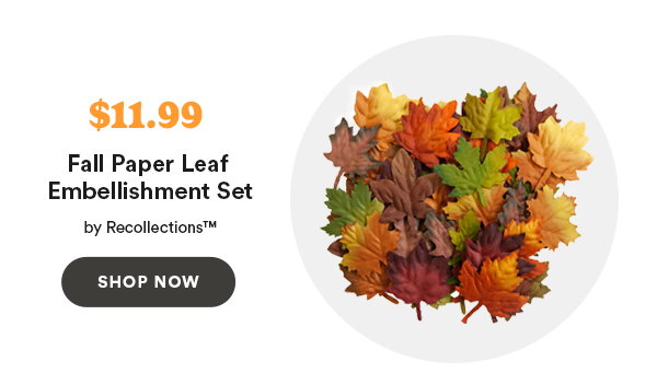 $11.99 Fall Paper Leaf Embellishment Set by Rocolloctions SHOP NOW