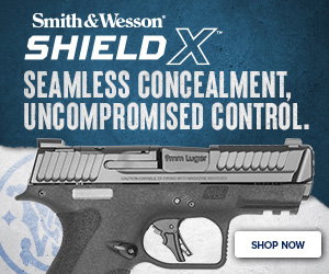 Smith & Wesson Store on GunBroker.com