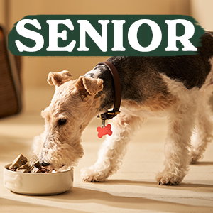 Senior
