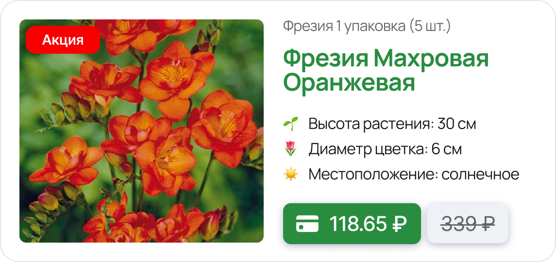 Карточка цветы.png