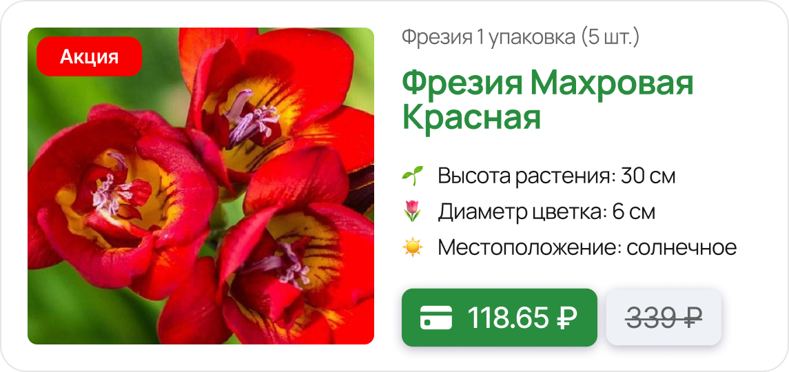 Карточка цветы.png