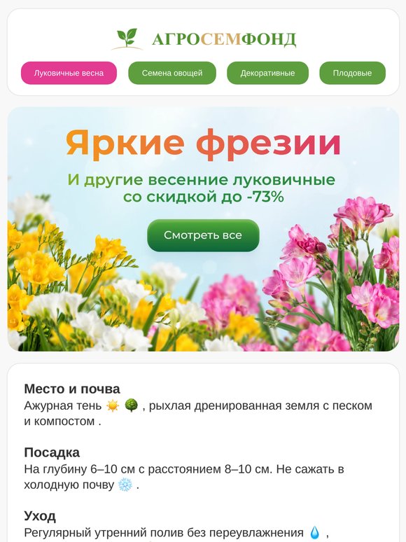 🌸  Секрет садовода: как создать волшебство с фрезиями (от 18₽ за луковицу!) 🌸